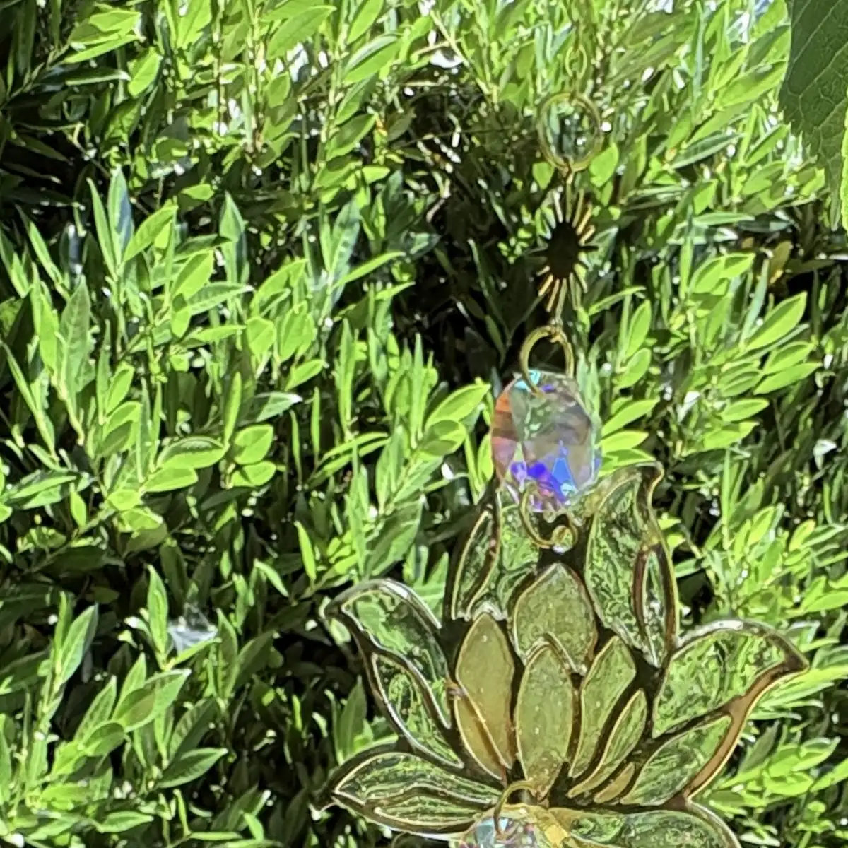 Lotus Doré lunaire
