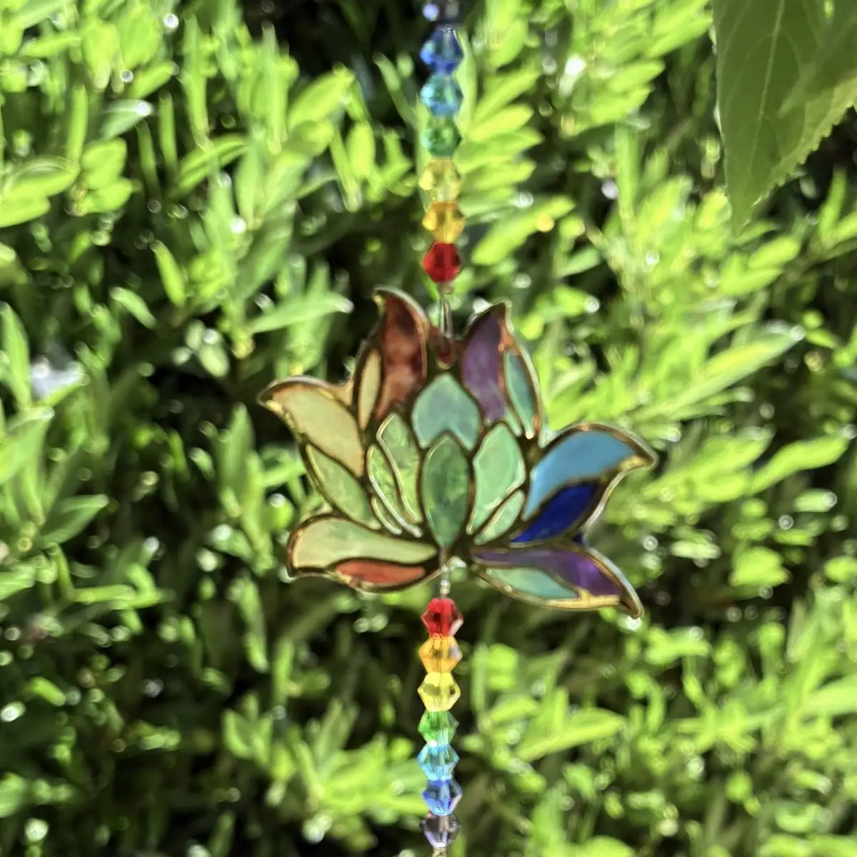 Lotus Chakra Harmonie